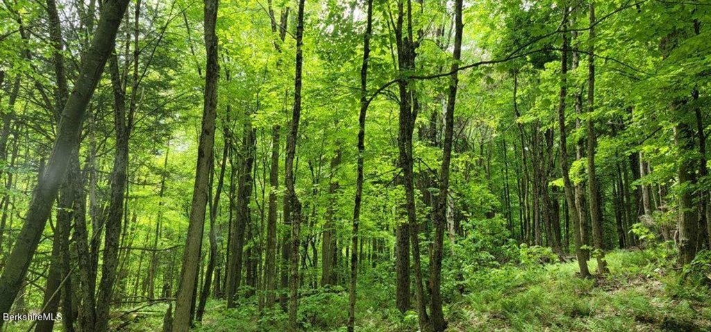 0 Mohawk Lake Rd, Stockbridge, Massachusetts 01262, ,Land,For Sale,Mohawk Lake Rd,73390965