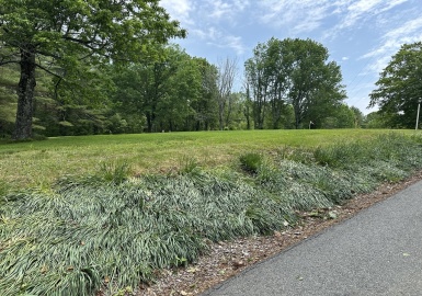 3 Weaver Farm Road, Rutland, Massachusetts 01543, ,Land,For Sale,Weaver Farm Road,73391551