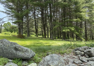 107 Campbell Street, Rutland, Massachusetts 01543, ,Land,For Sale,Campbell Street,73391542
