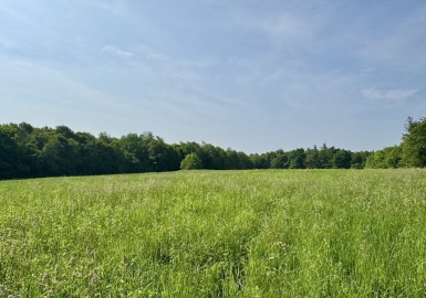 292 East Hawley Road, Hawley, Massachusetts 01339, ,Land,For Sale,East Hawley Road,73392073