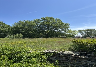 80 Phillips St, Hanson, Massachusetts 02341, ,Land,For Sale,Phillips St,73392190