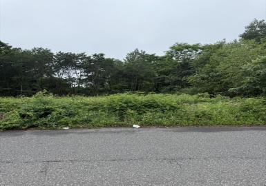 W S Arnold Ave, Springfield, Massachusetts 01119, ,Land,For Sale,Arnold Ave,73393384