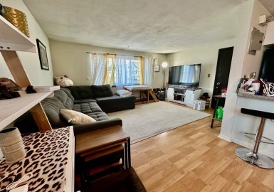 260 River Street, Waltham, Massachusetts 02453, 1 Bedroom Bedrooms, 4 Rooms Rooms,1 BathroomBathrooms,Residential Lease,For Rent,River Street,73394436