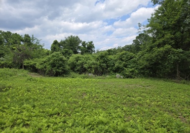 1 Old Stage Rd, Hatfield, Massachusetts 01088, ,Land,For Sale,Old Stage Rd,73394977