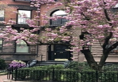 258 Marlborough, Boston, Massachusetts 02116, 1 Bedroom Bedrooms, 3 Rooms Rooms,1 BathroomBathrooms,Residential Lease,For Rent,Marlborough,73397602