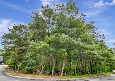 15 Randall Farm Drive, Easton, Massachusetts 02356, ,Land,For Sale,Randall Farm Drive,73397861