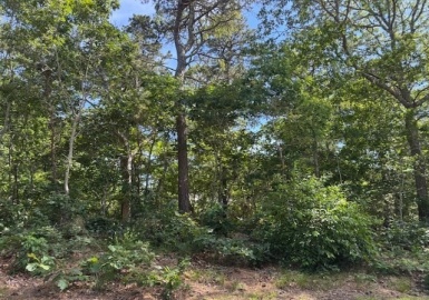 35 Sterling Rd, Harwich, Massachusetts 02645, ,Land,For Sale,Sterling Rd,73398018