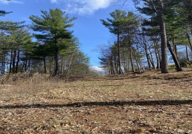 91 Burlingame Rd, Charlton, Massachusetts 01507, ,Land,For Sale,Burlingame Rd,73399794