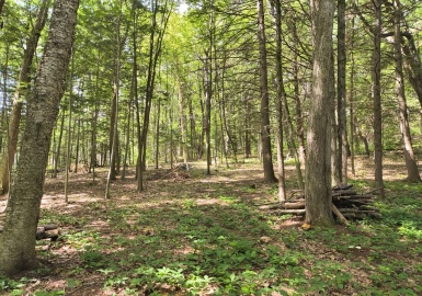 0 Round Hill Road, Chester, Massachusetts 01011, ,Land,For Sale,Round Hill Road,73399828