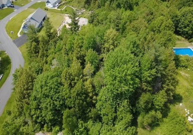 00 Miles Road, Athol, Massachusetts 01331, ,Land,For Sale,Miles Road,73331130
