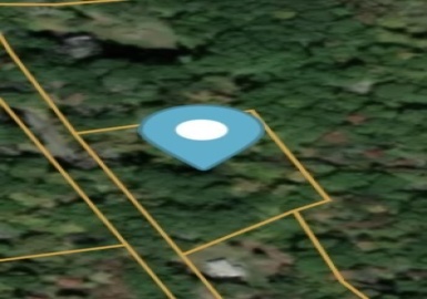 345 W Sutton Rd, Sutton, Massachusetts 01590, ,Land,For Sale,W Sutton Rd,73403035