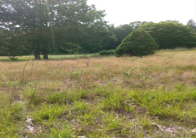 28 Bucklin Dr, Rehoboth, Massachusetts 02769, ,Land,For Sale,Bucklin Dr,73403049