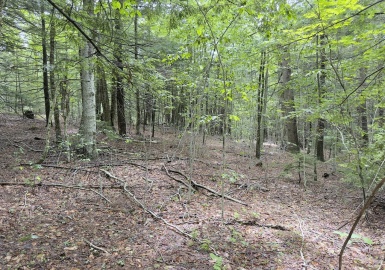 0 John Ford Road, Ashfield, Massachusetts 01330, ,Land,For Sale,John Ford Road,73403157