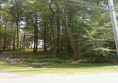 534 Ipswich Road, Boxford, Massachusetts 01921, ,Land,For Sale,Ipswich Road,73403519