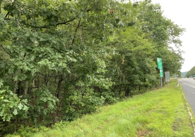 0 Conway Road, Deerfield, Massachusetts 01373, ,Land,For Sale,Conway Road,73404043