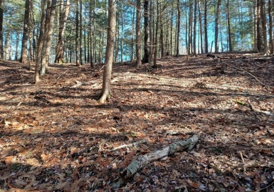 0 Northwest Road, Westhampton, Massachusetts 01027, ,Land,For Sale,Northwest Road,73404516