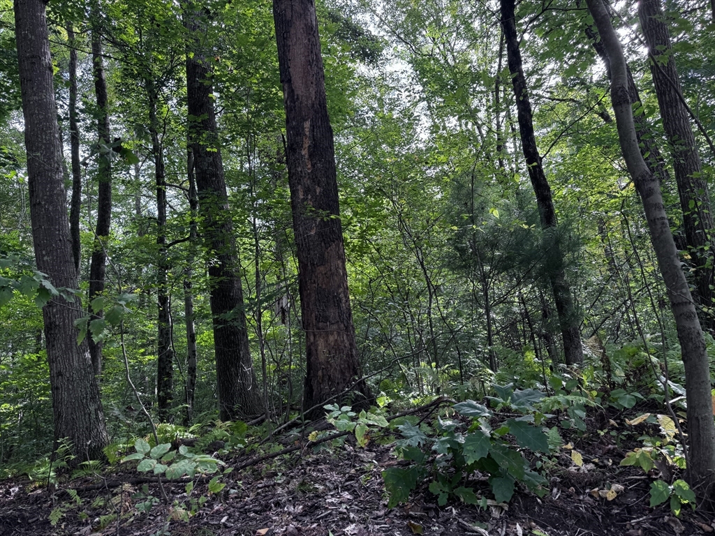 16 Rice Corner Rd., Brookfield, Massachusetts 01506