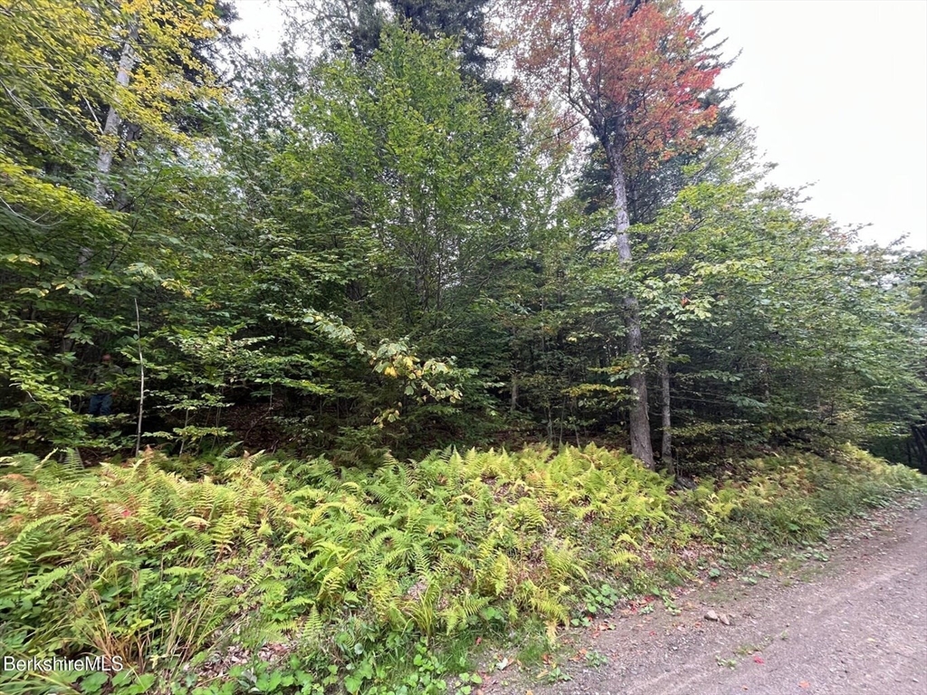 0 Manley Phelps Road, Monroe, Massachusetts 01350