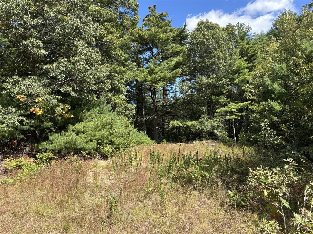 19 Rochester Rd Lot 3, Carver, Massachusetts 02330