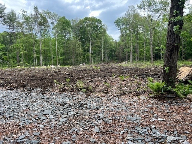 Lot 38 Edson, Oakham, Massachusetts 01068