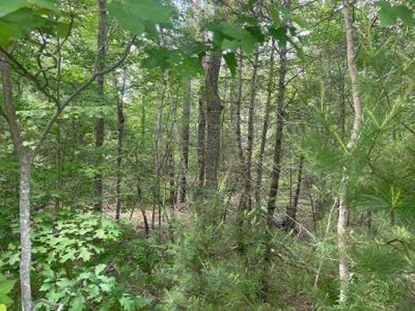 170 Elm Street, Hanson, Massachusetts 02341