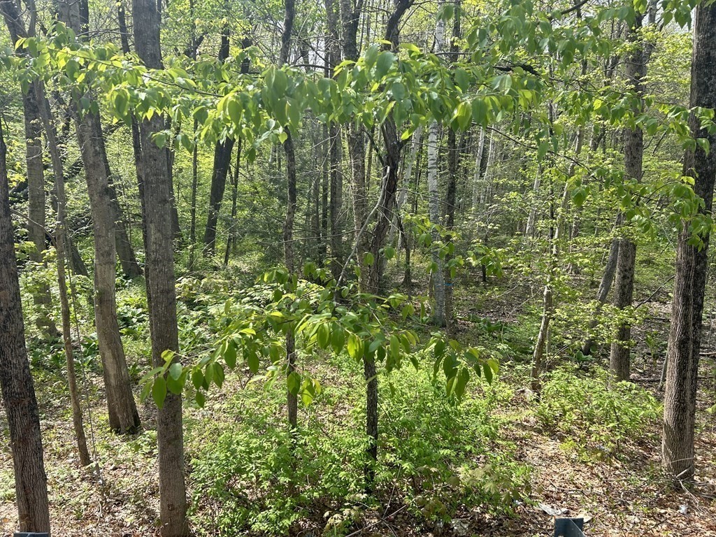 0 Parker Rd, Lancaster, Massachusetts 01561