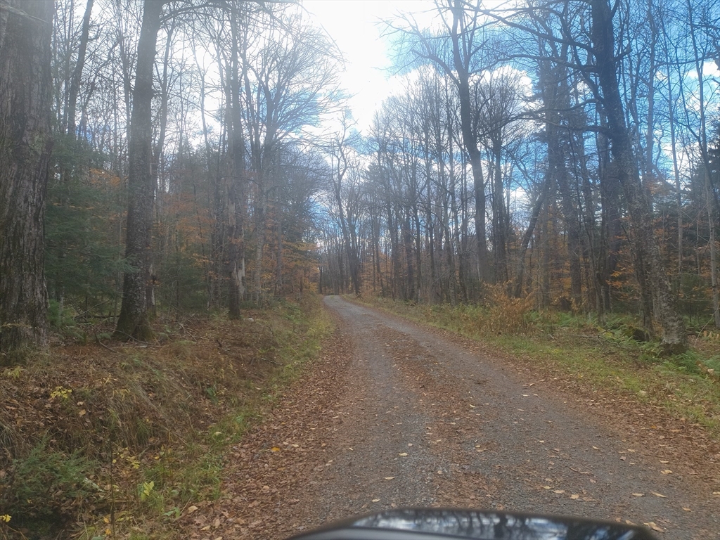 lot 18 Pierce Road, Peru, Massachusetts 01235