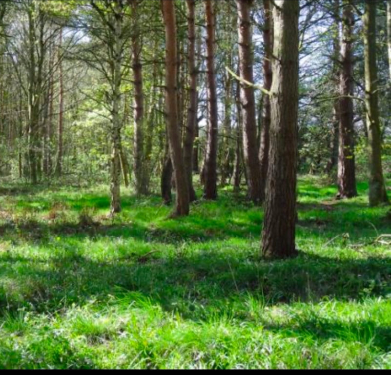 LOT 2 Winterberry Ln, Easton, Massachusetts 02256