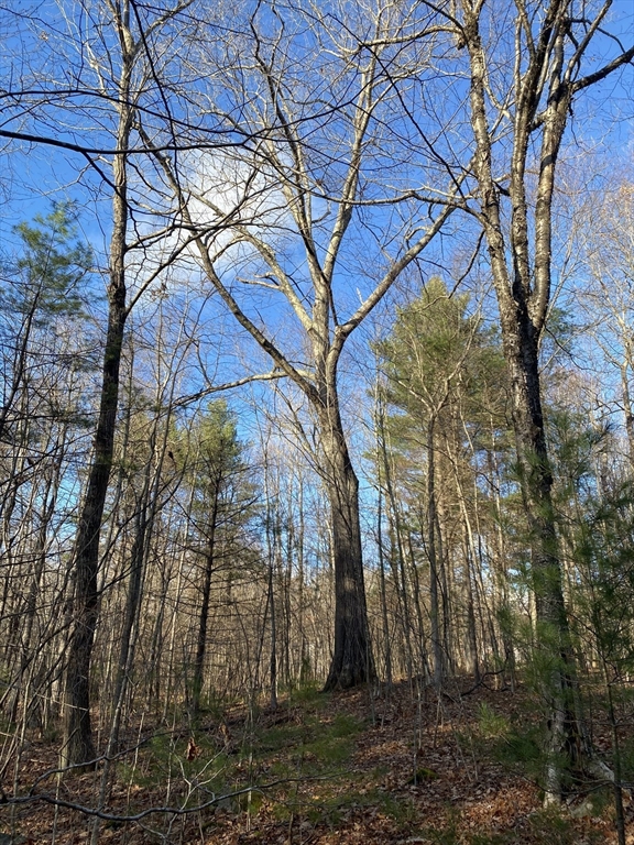 Lot B Brimfield Rd, Monson, Massachusetts 01057, ,Land,For Sale,Brimfield Rd,73455223