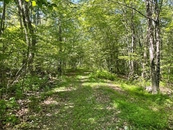 13 Perry St, Douglas, Massachusetts 01516, ,Land,For Sale,Perry St,73459734