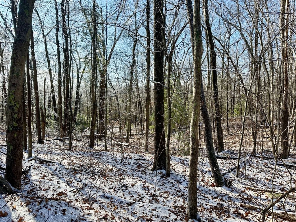 99 Burbank Road Lot 182, Sutton, Massachusetts 01590, ,Land,For Sale,Burbank Road Lot 182,73460005