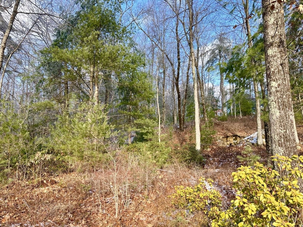 126 Burbank Rd Lot 1, Sutton, Massachusetts 01590, ,Land,For Sale,Burbank Rd Lot 1,73460024