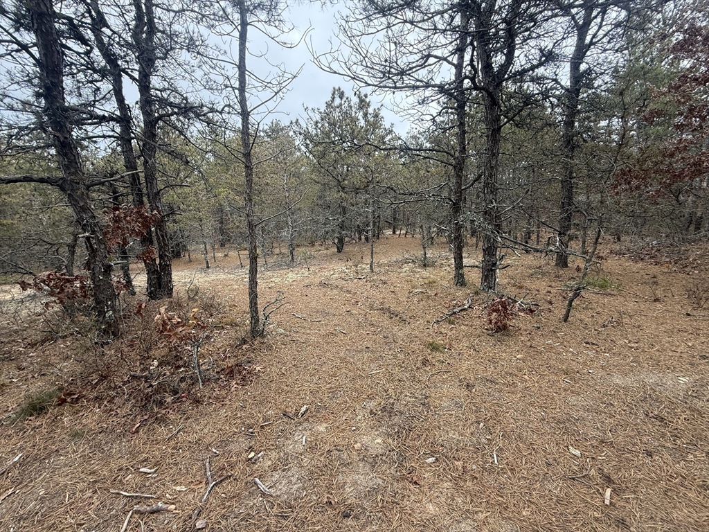 0 Ash Court, Dennis, Massachusetts 02660, ,Land,For Sale,Ash Court,73460477