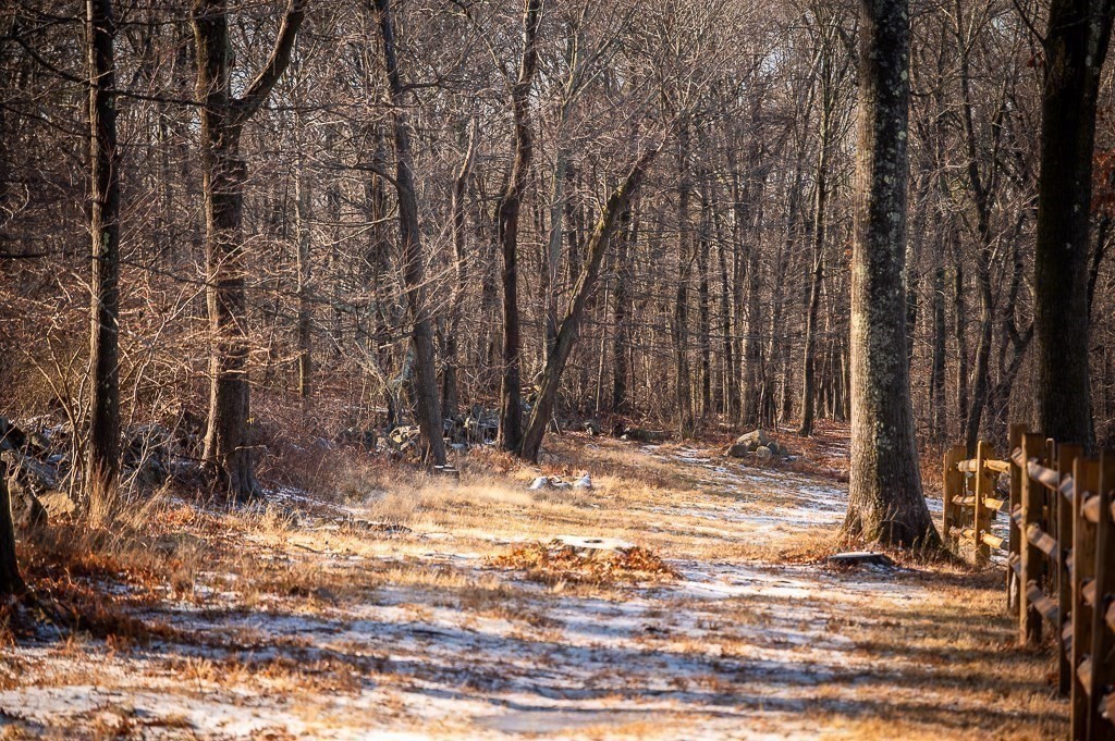 0 Belcher, Essex, Massachusetts 01929