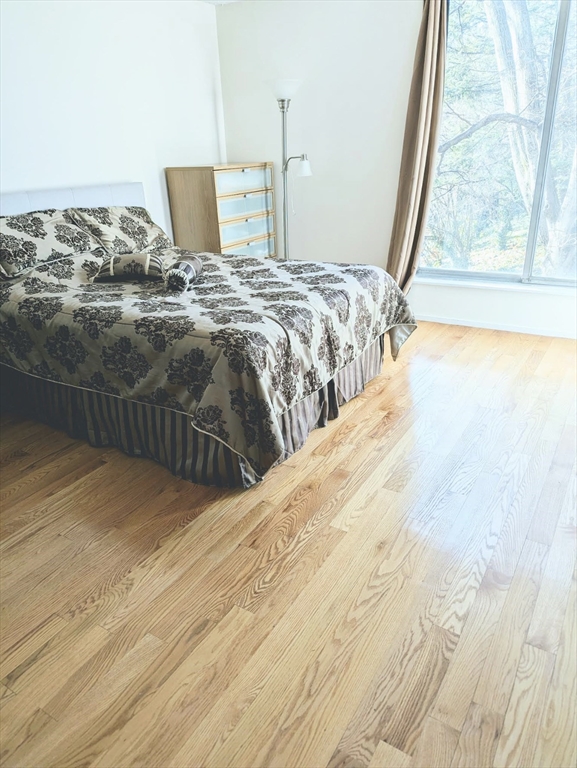 99 Pond Ave, Brookline, Massachusetts 02445