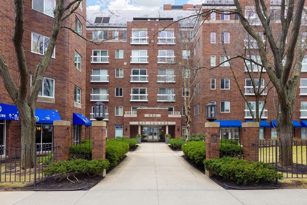 950 Massachusetts Ave, Cambridge, Massachusetts 02139