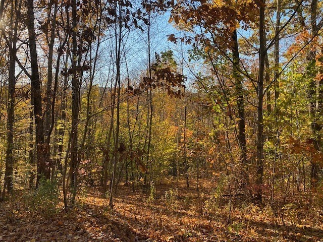 539 Fox Hill Road, Bernardston, Massachusetts 01337