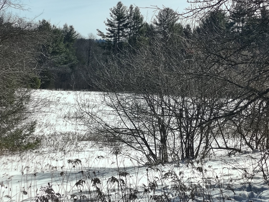 00 Capen Road, Worthington, Massachusetts 01098