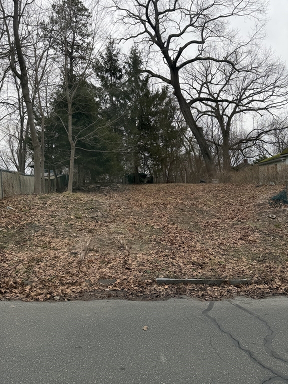 0 Laurelton St (Es), Springfield, Massachusetts 01101