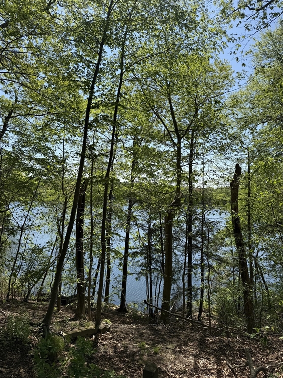 108 Dudley Rd, Wayland, Massachusetts 01778