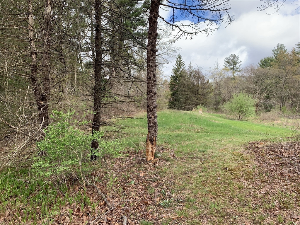 3 Howarth Rd, Oxford, Massachusetts 01540