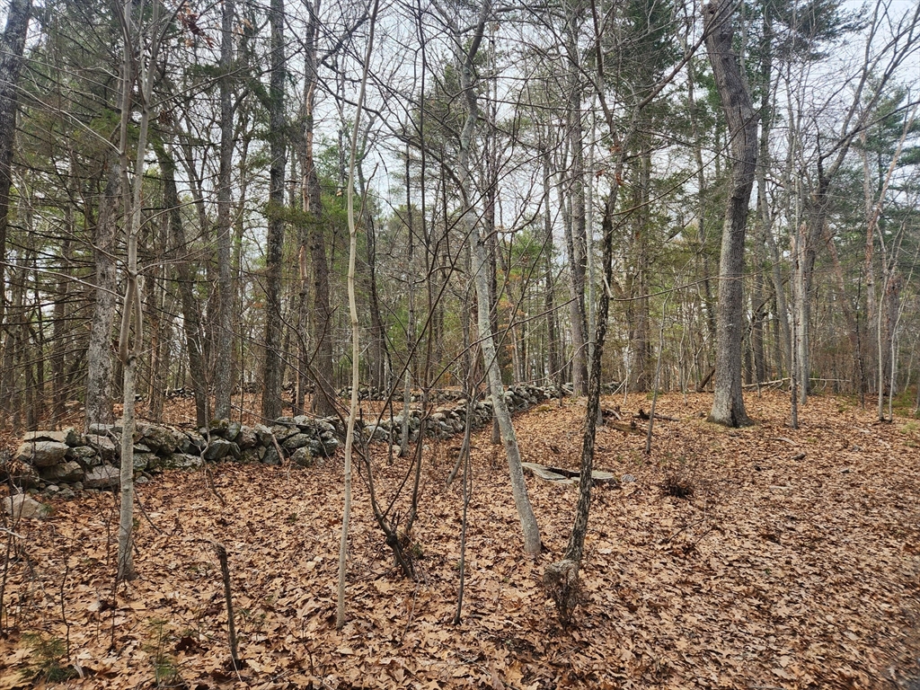 147 Washington Street Lot 2, Sherborn, Massachusetts 01770