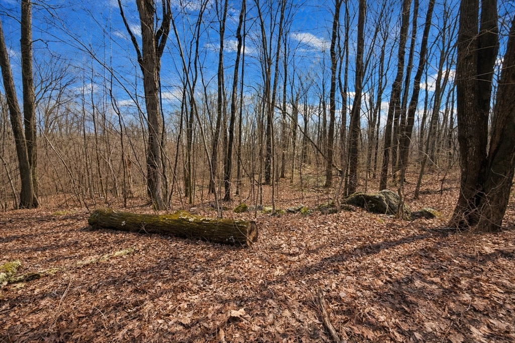 134 Nash Hill Rd, Williamsburg, Massachusetts 01096