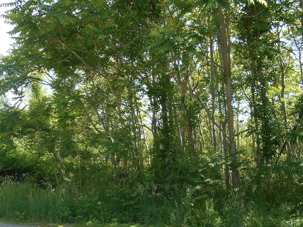 21 Papermill Road, Wareham, Massachusetts 02576