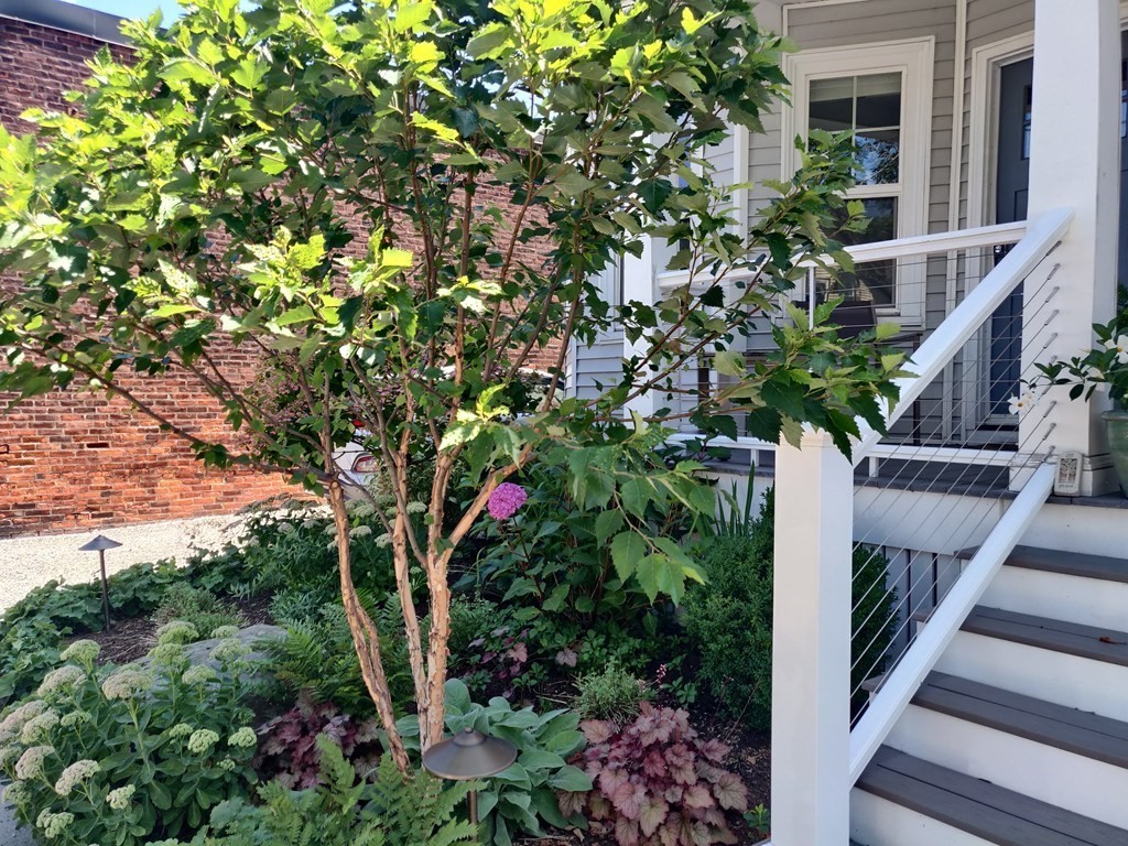 8 Lafayette St, Arlington, Massachusetts 02474