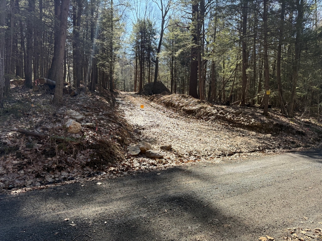 0 Old Chester Rd (Rear), Blandford, Massachusetts 01008