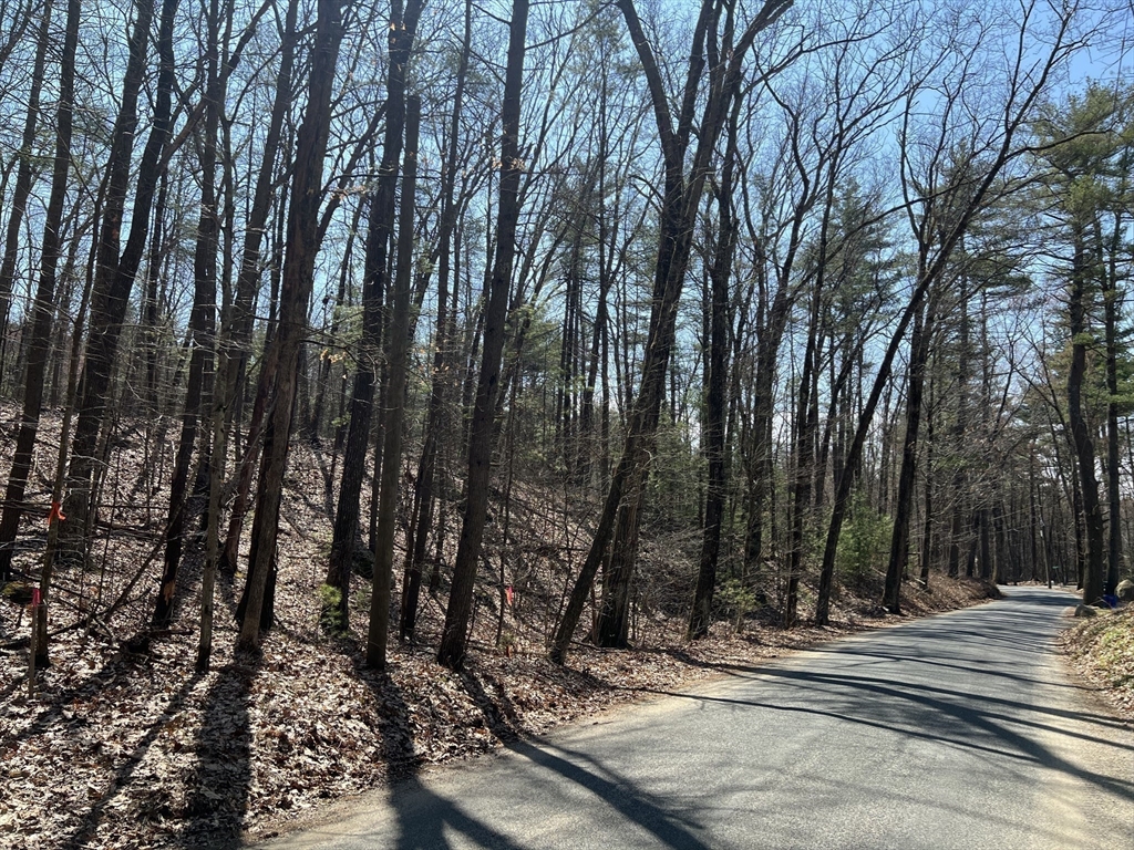 Lot 3, January Hills Road, Shutesbury, Massachusetts 01072