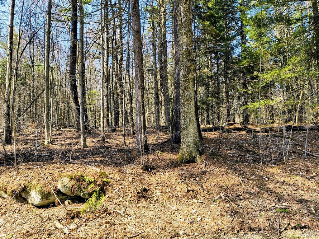 lot 16 Porcupine Courts, Becket, Massachusetts 01223