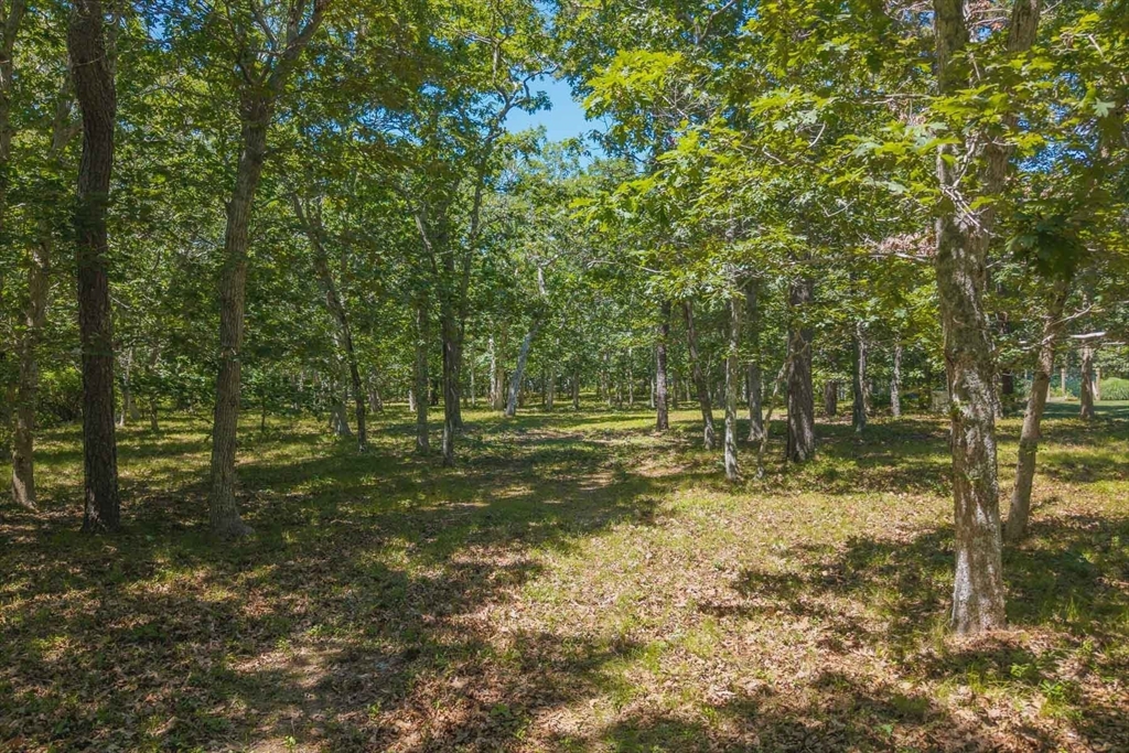 4 Wilsons Lane, Edgartown, Massachusetts 02539