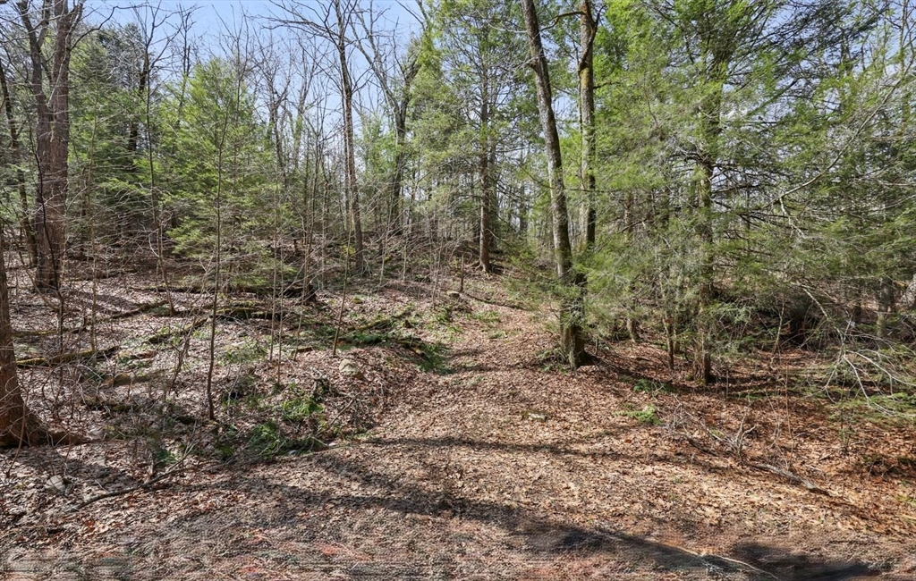 8 Hemlock Rd, Tyringham, Massachusetts 01264